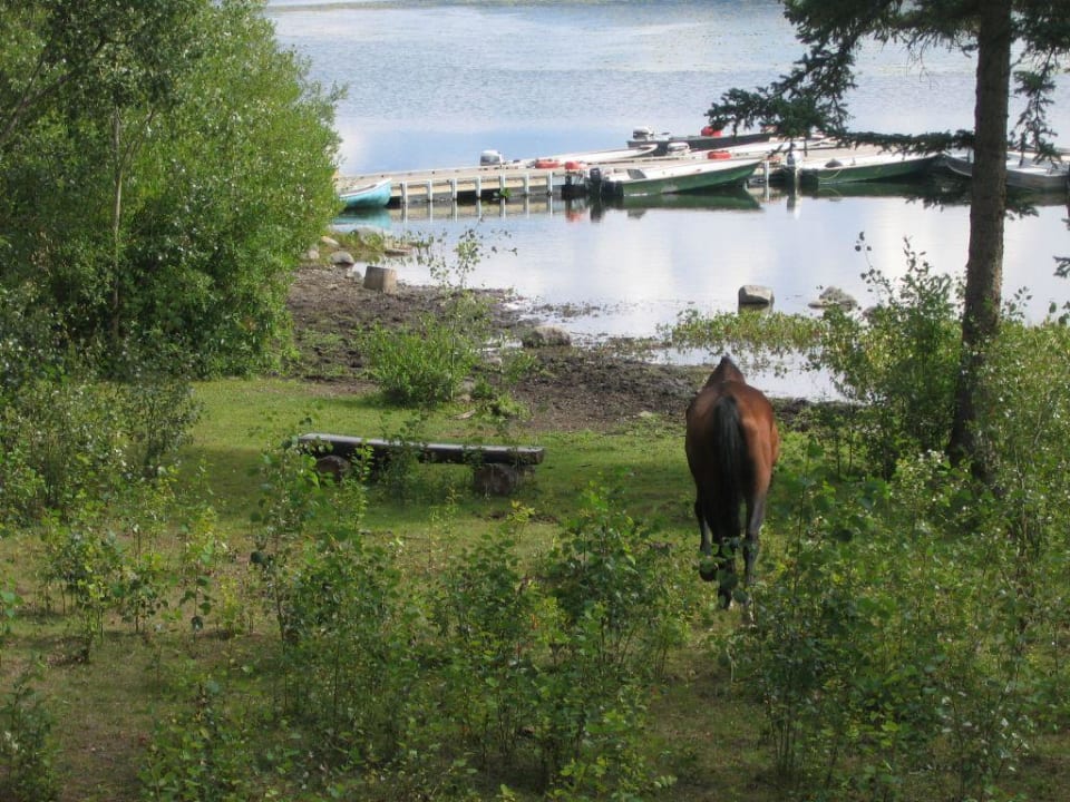 Seeblick Hotel Ten-ee-ah Lodge
