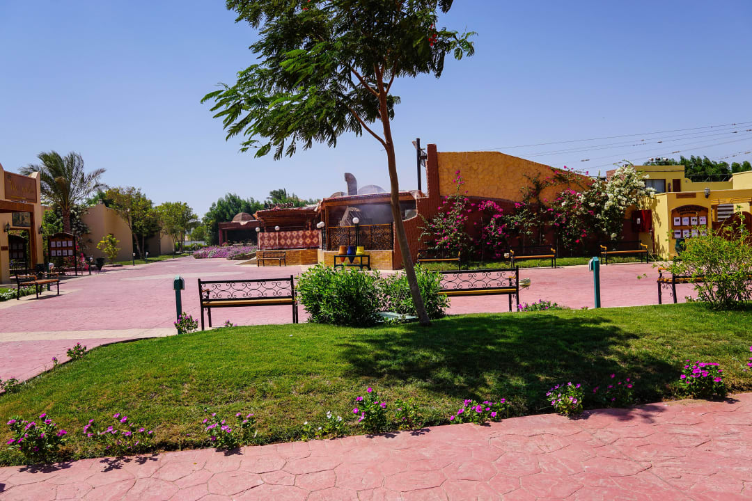 Alles schön gepflegt Desert Rose