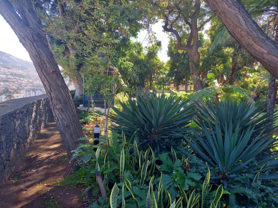 Gartenanlage Quinta Jardins do Lago
