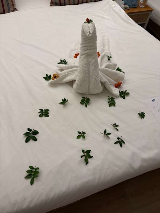 Zimmer AQI Pegasos Resort