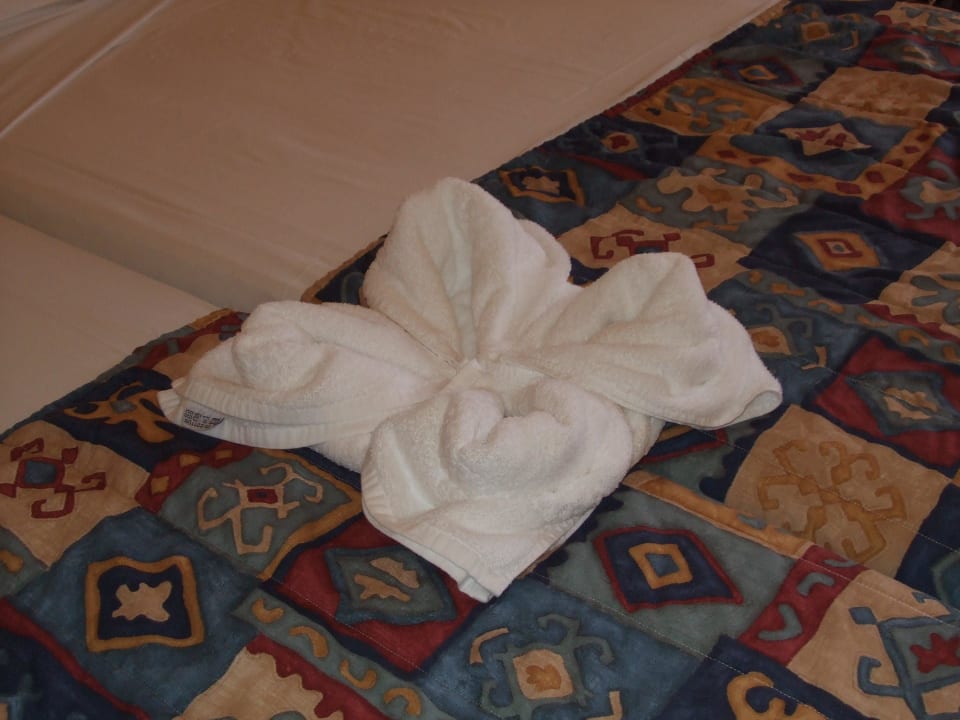 Tutti i giorni un fiori diverso db Seabank Resort + Spa