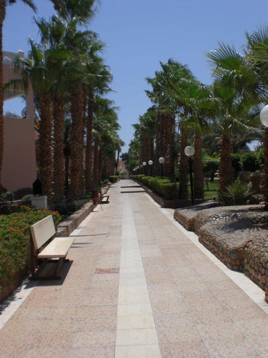 Weg vom Nebengebäude zum Hauptgebäude Beach Albatros Resort