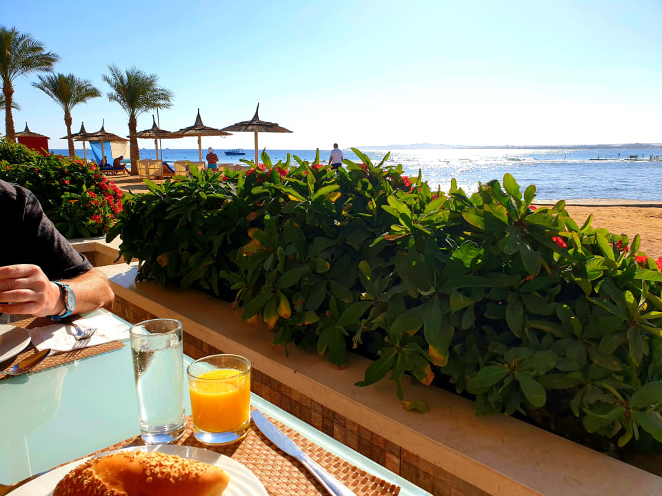 Gastro Beach Albatros Resort