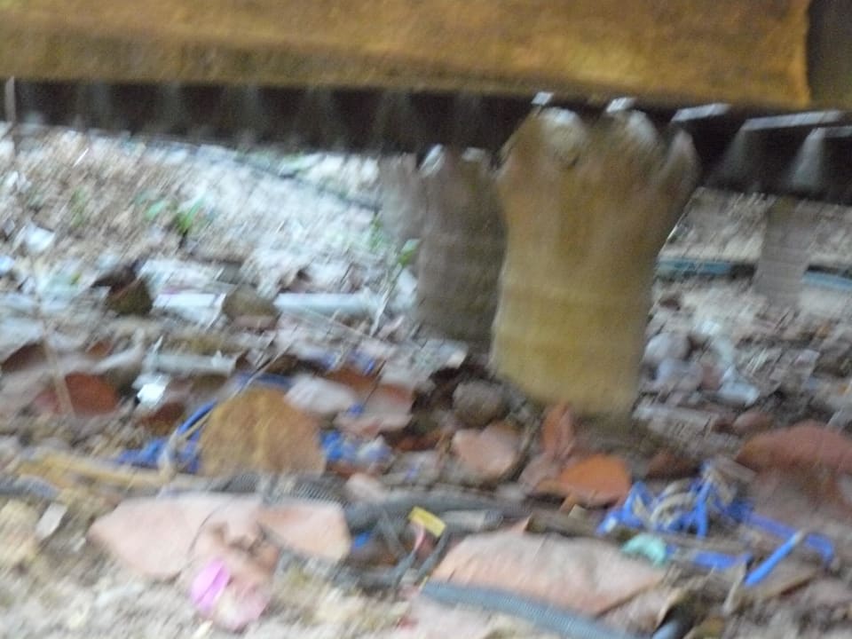 Müllkippe unter dem Pool Hotel Coche Paradise Resort