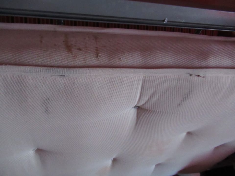 Zimmer allsun App.-Hotel Albatros