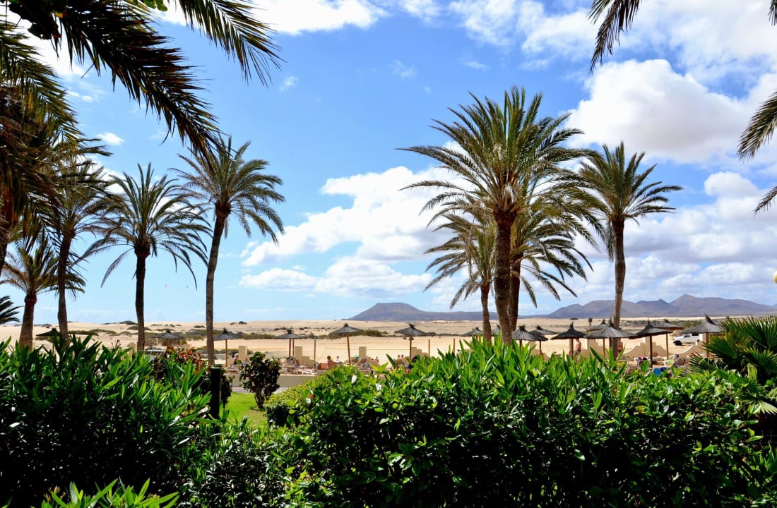 Gartenanlage mit Dünenblick Hotel Riu Oliva Beach Resort