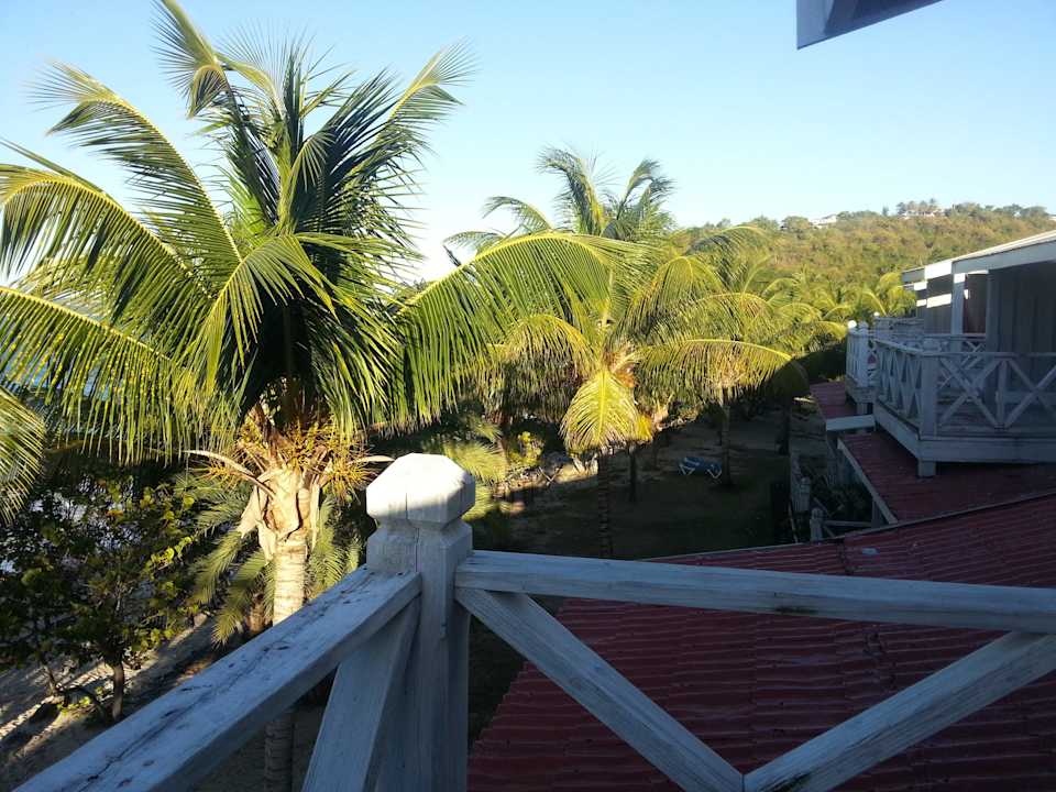 Vom Balkon Hotel Coconut Beach Club