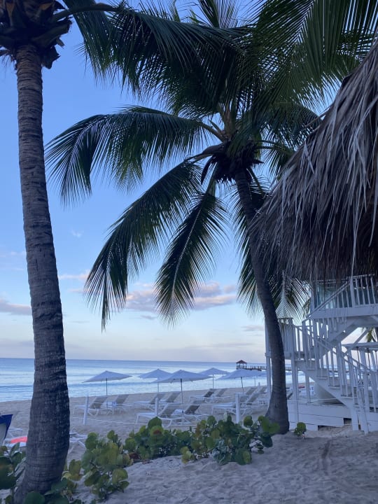 Strand Catalonia Royal La Romana - Adults only