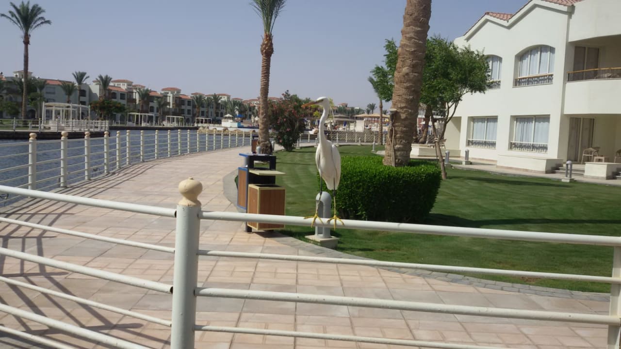 Gartenanlage Pickalbatros Dana Beach Resort - Hurghada