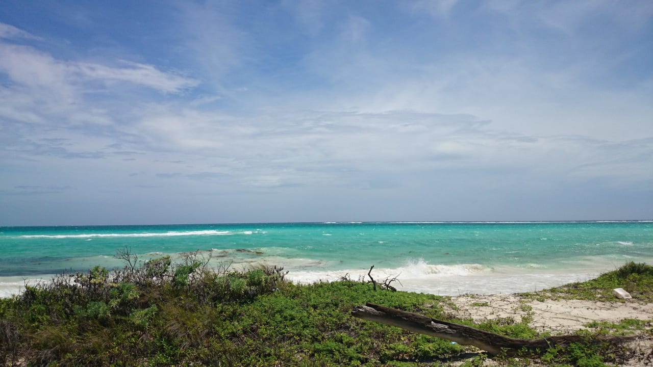 Strandspaziergang Catalonia Playa Maroma