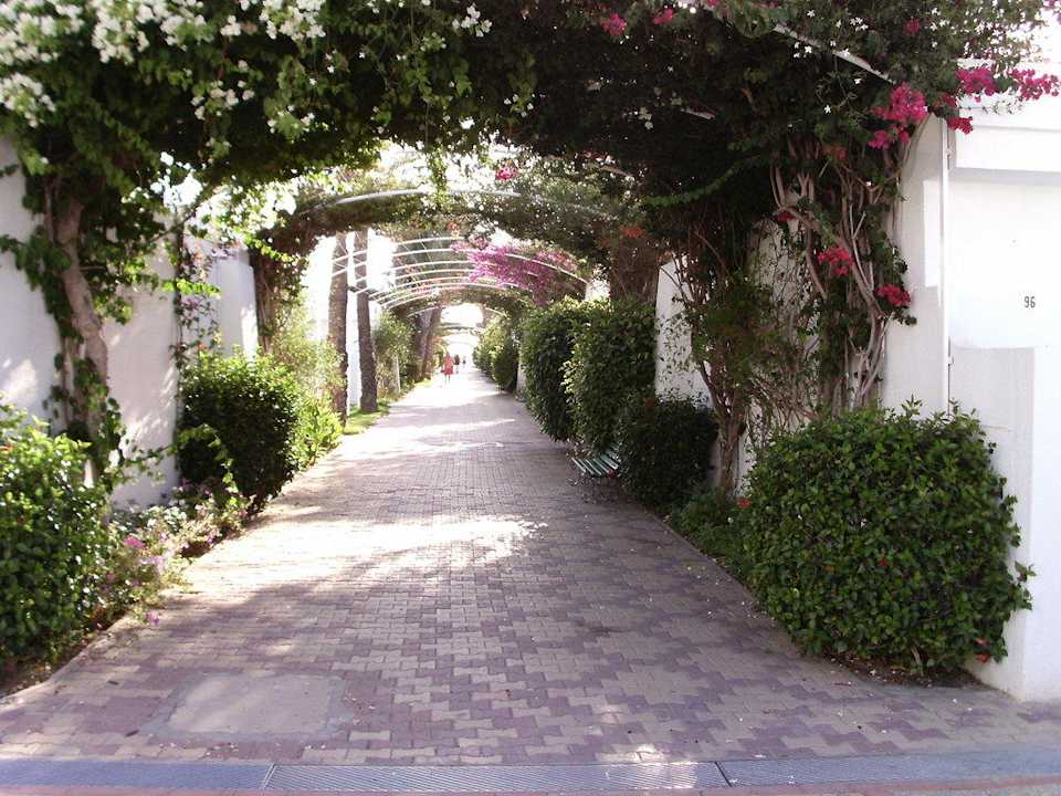 Der Weg zu den Bungalows und zum Strand El Mouradi Club Kantaoui