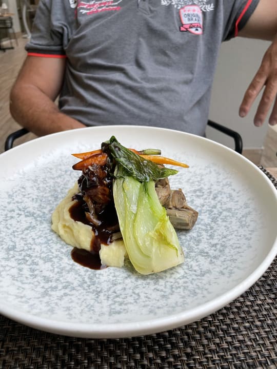 Gastro Acanthus Cennet Barut Collection