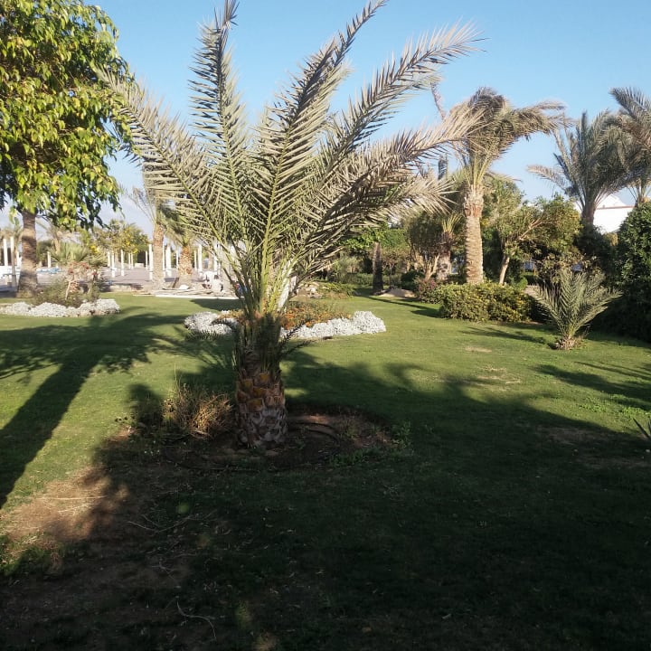 Gartenanlage Fantazia Resort Marsa Alam