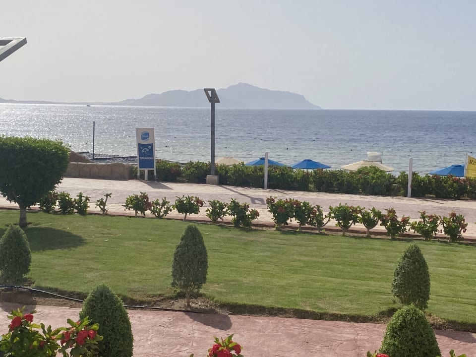 Ausblick Pickalbatros Palace Resort