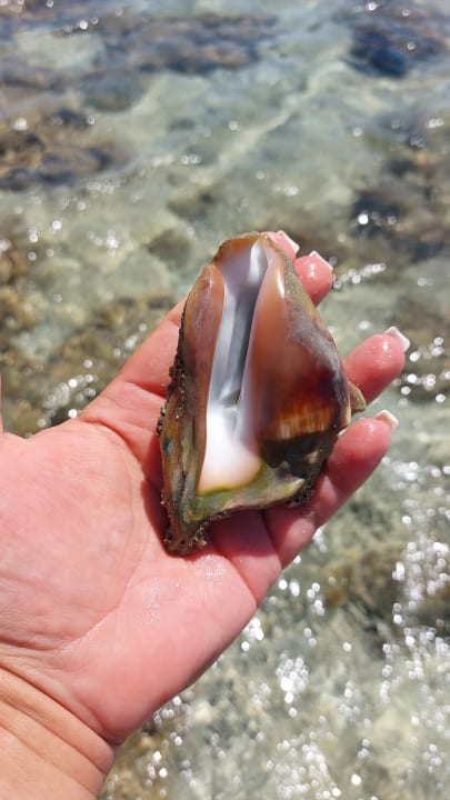 Strand Golden Beach Resort