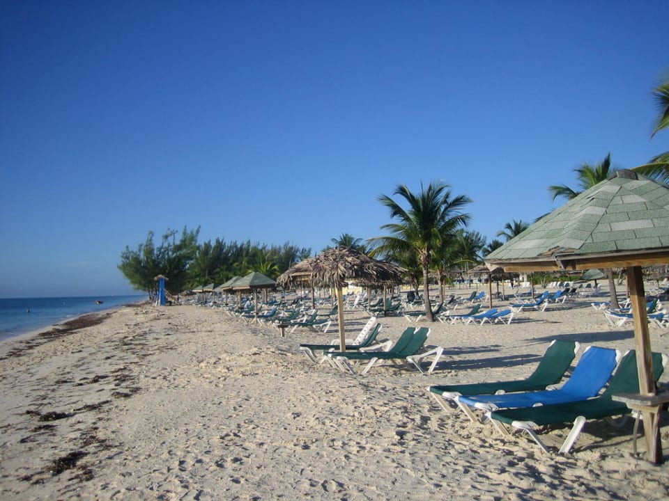 Strand Viva Fortuna Beach by Wyndham - All Inclusive Resort