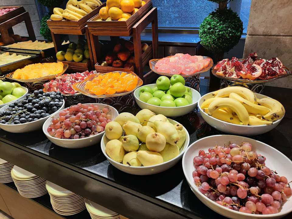 Gastro Papillon Ayscha