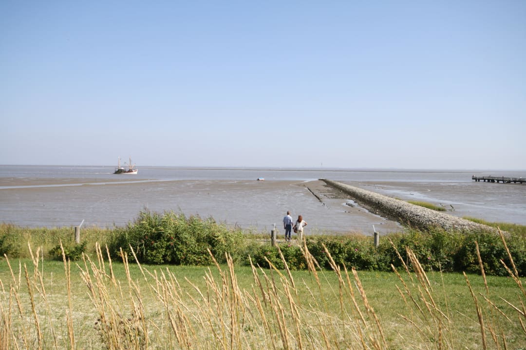 Aussicht auf das Wattenmeer Feriendorf Robbenplate Haus Nr. 8