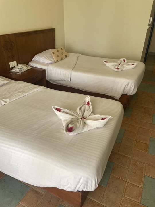 Zimmer Three Corners Equinox Beach Resort