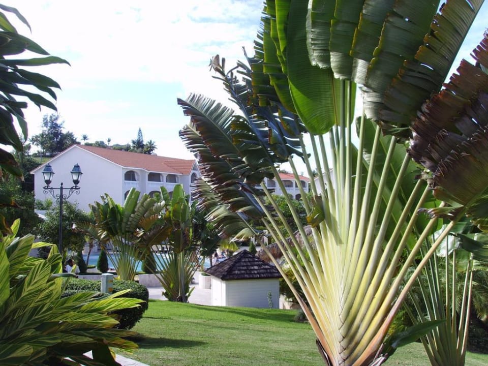 Hotelanlage Cofresi Palm Beach & Spa Resort