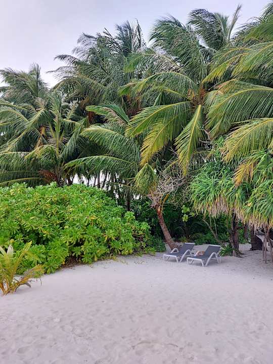 Strand Vilamendhoo Island Resort & Spa