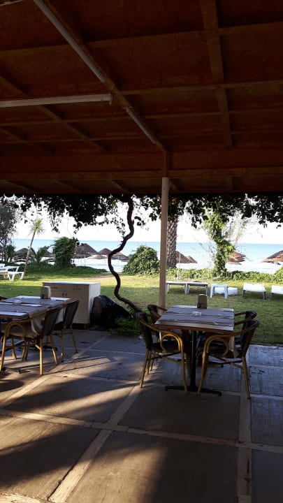 Gastro Dogan Paradise Beach