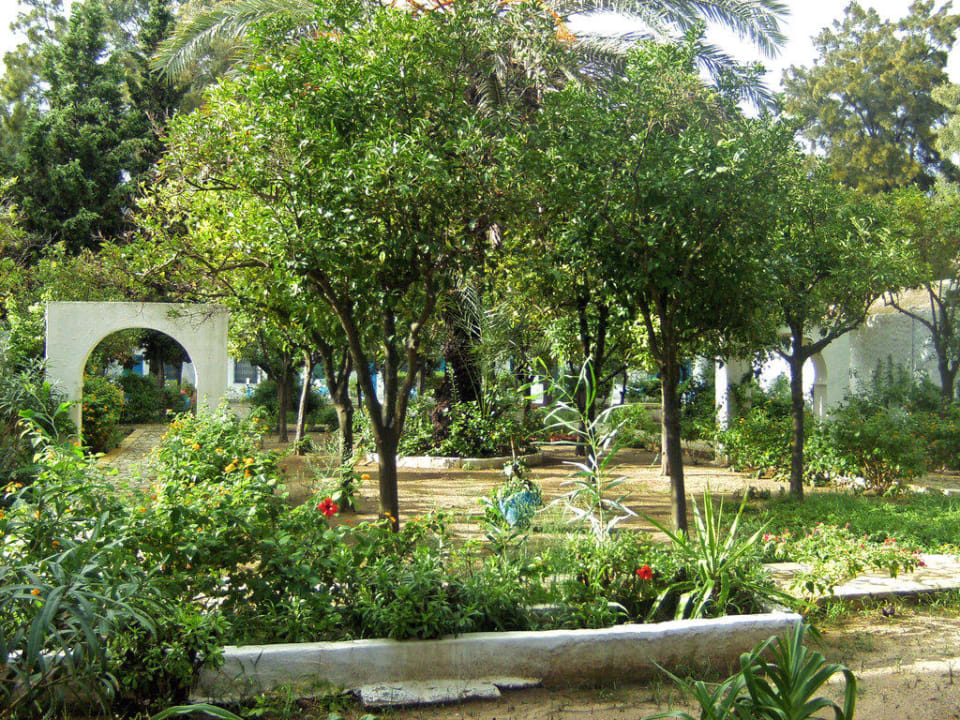 Liebevoll angelegter Garten The Club Hammamet