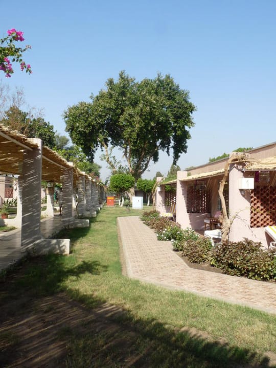 Bungalows und Bäume Jolie Ville Kings Island Luxor