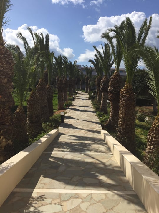 die weitläufige Anlage Lyttos Beach Hotel