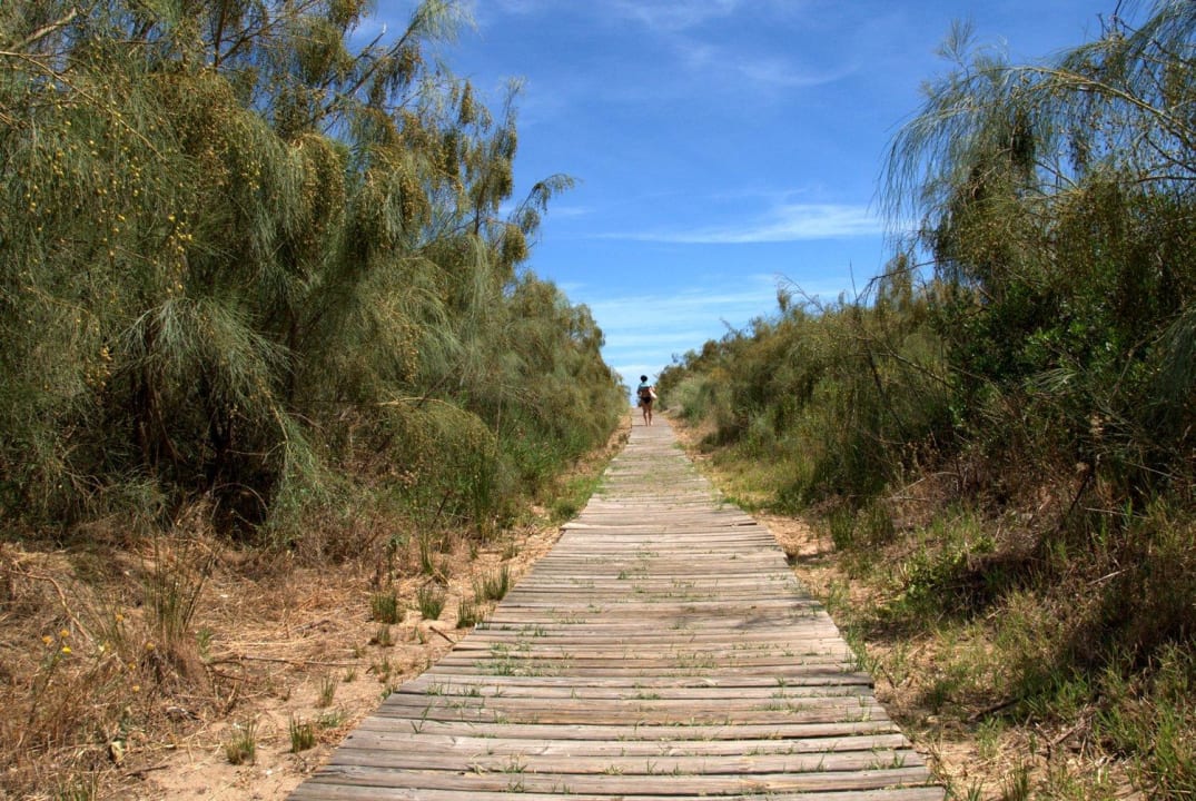 Dojście do plaży Playacanela Hotel