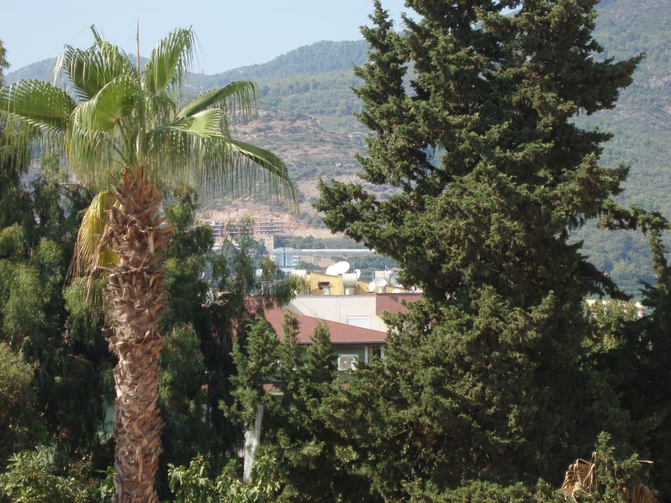 Ausblick nach hinten Eftalia Downtown Hotel
