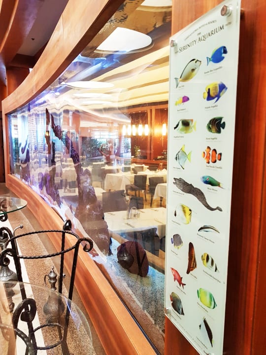 Gastro Gloria Serenity Resort