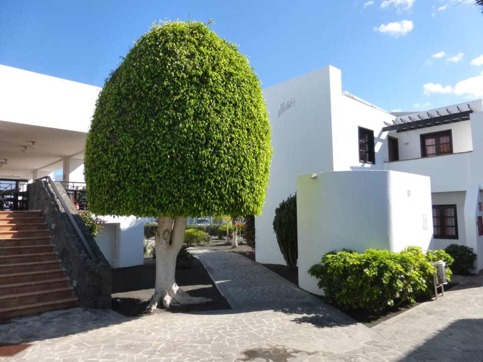 Außenansicht allsun App.-Hotel Albatros