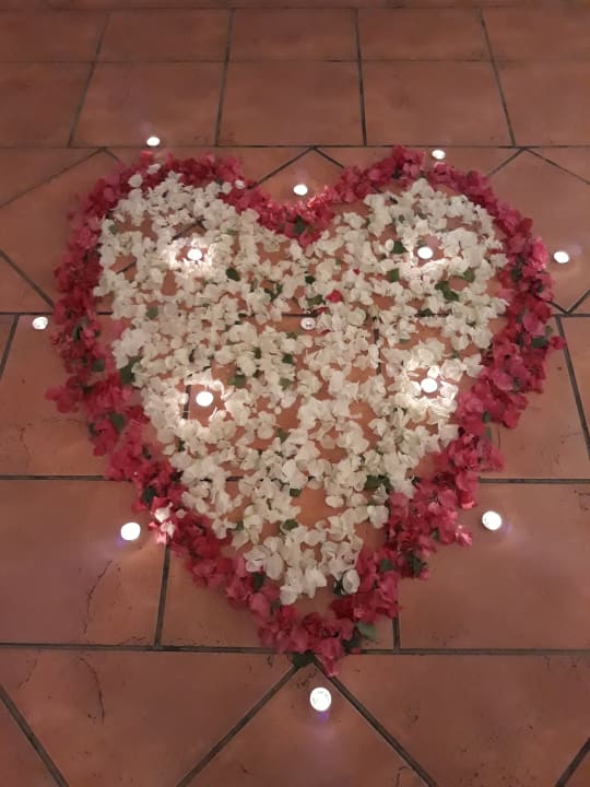 Gastro Steigenberger Coraya Beach - Adults only