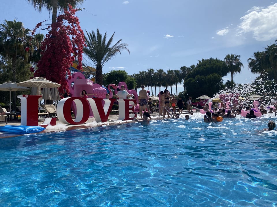 Pool Arum Barut Collection