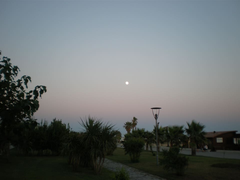 Mond, Promenade Sentido Trendy Verbena Beach
