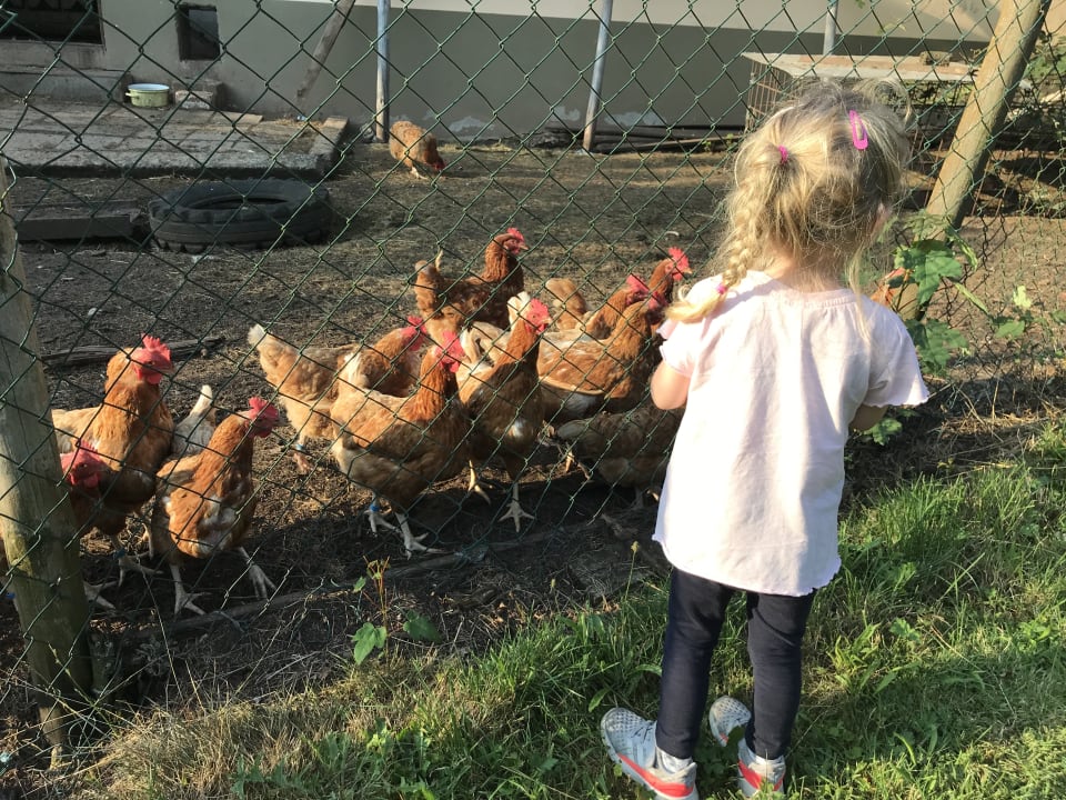 Sonstiges Ferienhof Lehner am Rothsee