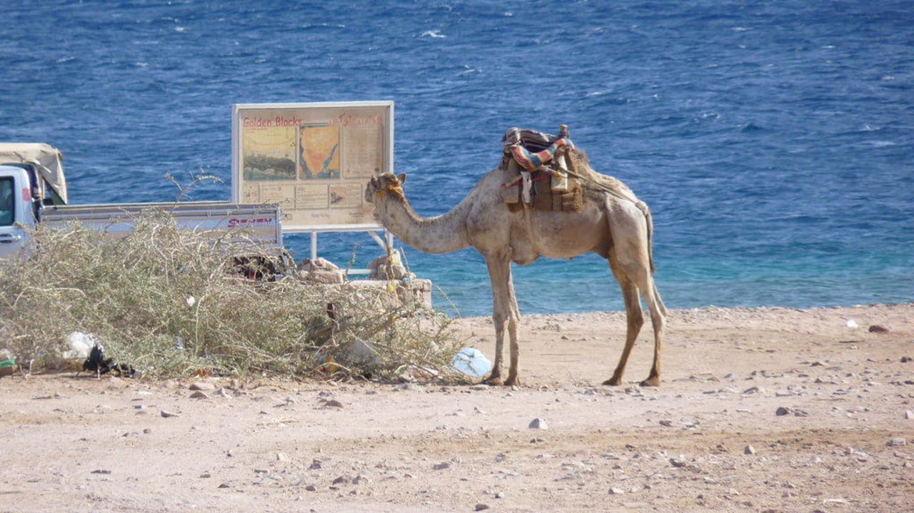 Kuckst Du Happy Life Village