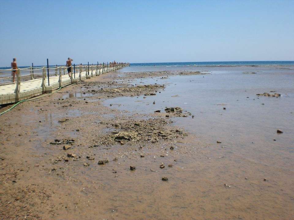 Strand bei Ebbe Pickalbatros Palace Resort