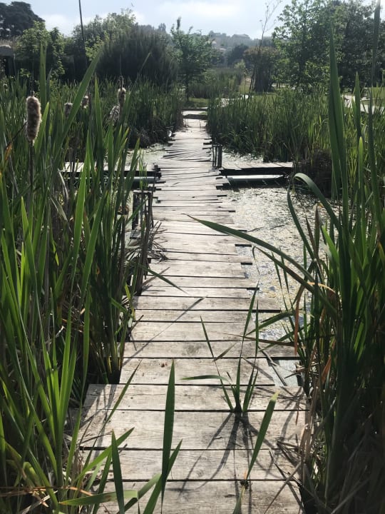 Garten Hotel Rio do Prado