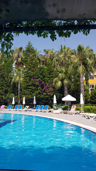 Pool Hane Family Resort