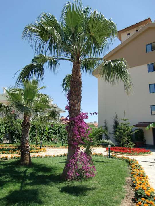 Garten Grand Seker Hotel