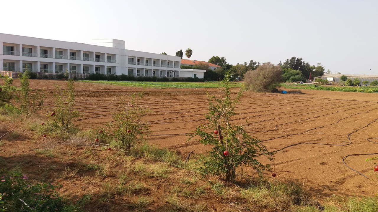 Gartenanlage Salamis Bay Conti Resort Hotel & Casino