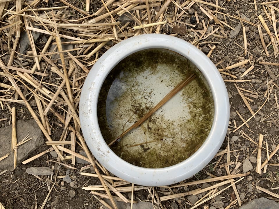 Gartenanlage Berghotel Hoher Knochen