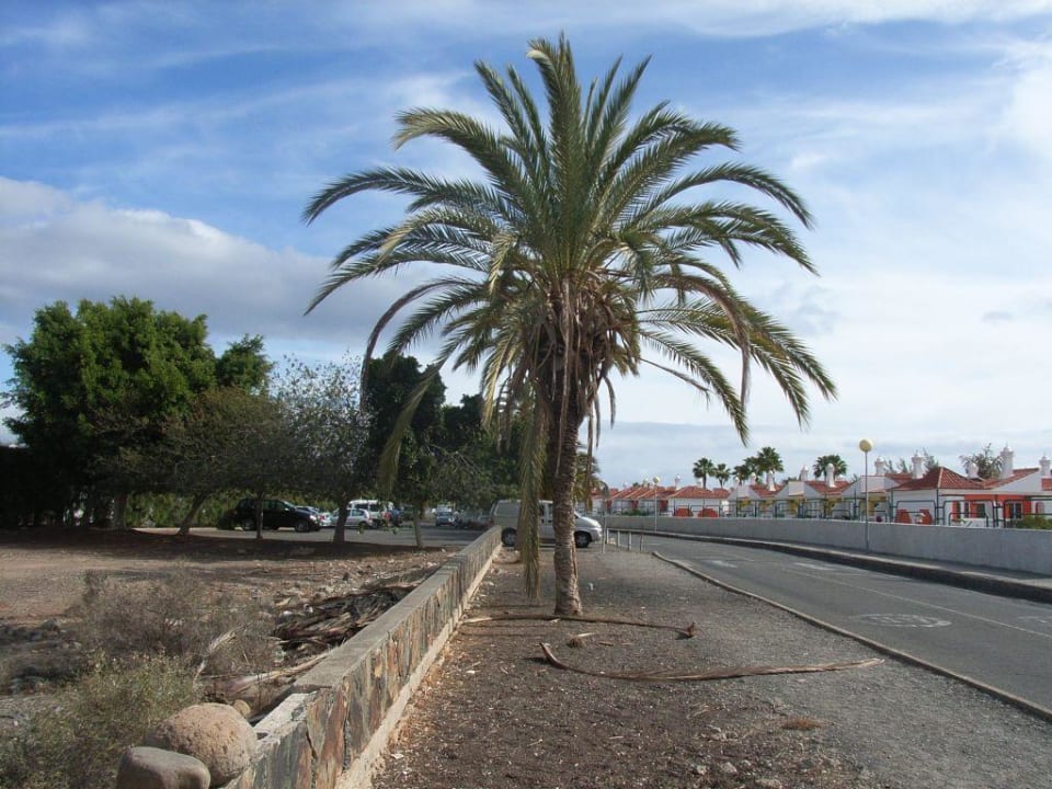 Sandy Golf - "Bushaltestelle" Bungalows Cordial Sandy Golf