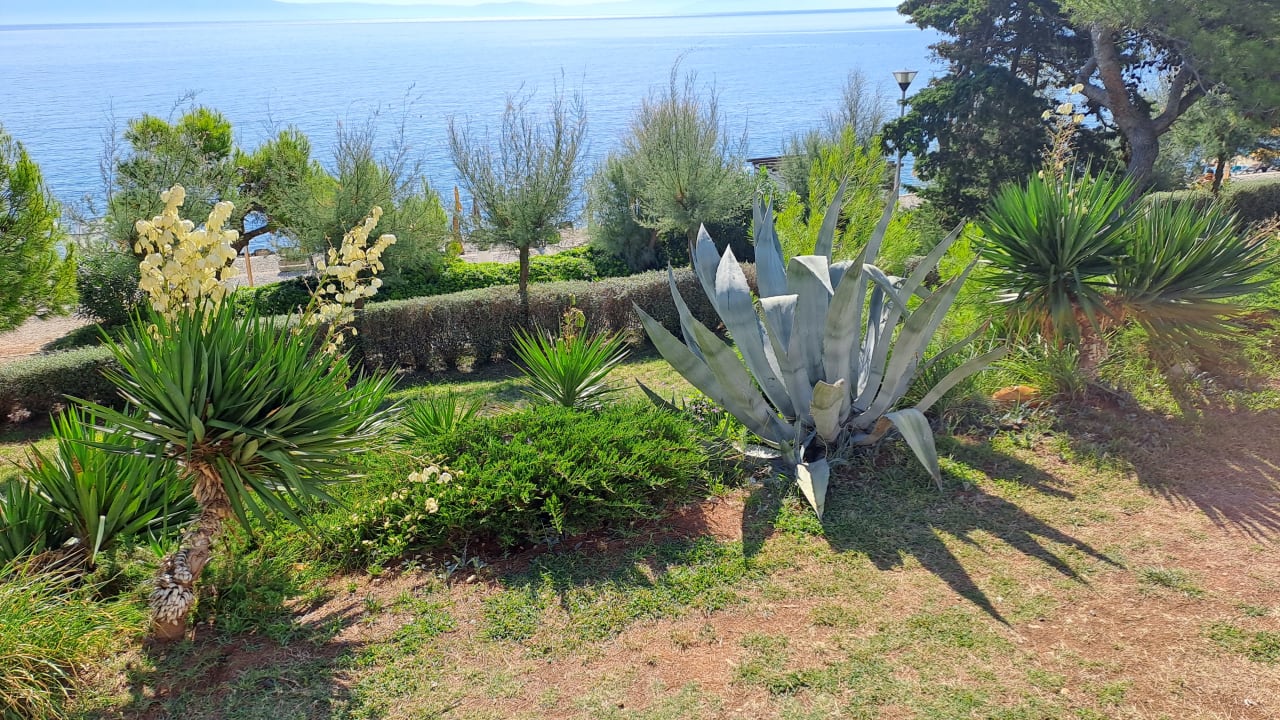 Gartenanlage Valamar Sanfior Hotel & Casa