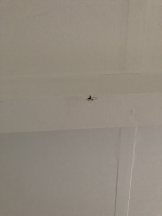 Zimmer Center Parcs Park Nordseeküste