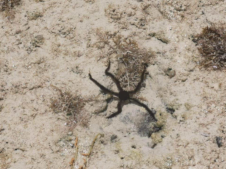 Strand Casa Mare Resort