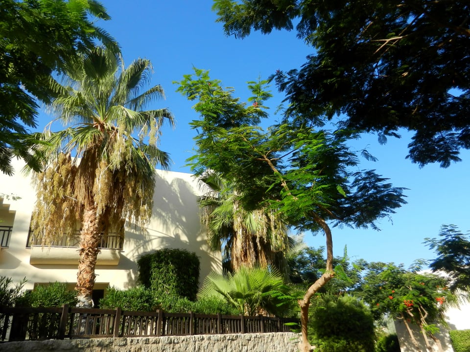Sonstiges The Grand Hotel Sharm El Sheikh