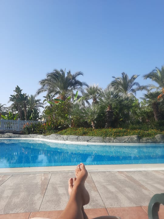 Pool Royal Wings Hotel